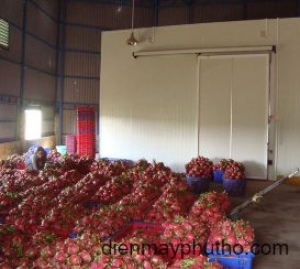Lắp đặt kho lạnh bảo quản thanh long - Uy tín, chất lượng 