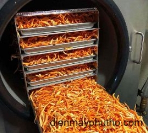 Địa chỉ mua máy sấy thăng hoa giá rẻ, uy tín hiện nay